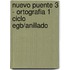 Nuevo Puente 3 - Ortografia 1 Ciclo Egb/Anillado