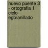 Nuevo Puente 3 - Ortografia 1 Ciclo Egb/Anillado door Herminia Merega