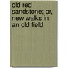Old Red Sandstone; Or, New Walks in an Old Field door Hugh Miller