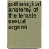 Pathological Anatomy Of The Female Sexual Organs