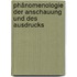 Phänomenologie der Anschauung und des Ausdrucks