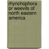 Rhynchophora Or Weevils Of North Eastern America by Willis Stanley Blatchley