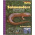 Salamanders And Other Animals With Amazing Tails