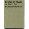 Scenes In Hawaii Or Life In The Sandwich Islands door Francis J. Grant