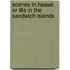 Scenes In Hawaii Or Life In The Sandwich Islands