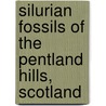 Silurian Fossils Of The Pentland Hills, Scotland door Professor Clarkson E.N.K.