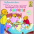 The Berenstain Bears and the Mama's Day Surprise