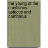 The Young Of The Crayfishes Astacus And Cambarus door Ethan Allen Andrews