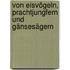 Von Eisvögeln, Prachtjungfern und Gänsesägern