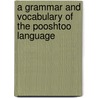 A Grammar And Vocabulary Of The Pooshtoo Language door Sir John Luther Vaughan