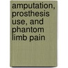 Amputation, Prosthesis Use, And Phantom Limb Pain door Craig Murray