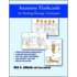 Anatomy Flashcards for Healing Massage Techniques