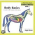 Body Basics - A Guide To The Anatomy Of The Horse