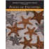 Brazilian Activities Manual For Ponto De Encontro