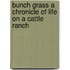 Bunch Grass A Chronicle Of Life On A Cattle Ranch