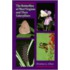 Butterflies Of West Virginia & Their Caterpillars
