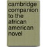 Cambridge Companion to the African American Novel