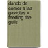 Dando de Comer A las Gaviotas = Feeding the Gulls