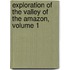 Exploration Of The Valley Of The Amazon, Volume 1