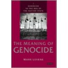 Genocide in the Age of the Nation State, Volume 2 door Mark Levene