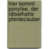 Hier kommt Ponyfee. Der rätselhafte Pferdezauber door Barbara Zoschke