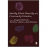 Identity, Ethnic Diversity and Community Cohesion door Margaret Wetherell