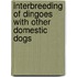Interbreeding Of Dingoes With Other Domestic Dogs