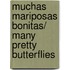 Muchas Mariposas Bonitas/ Many Pretty Butterflies