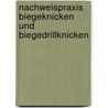 Nachweispraxis Biegeknicken Und Biegedrillknicken door Jurgen Meister