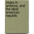 Negro in America, and the Ideal American Republic