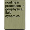 Nonlinear Processes In Geophysical Fluid Dynamics by O.U. Velasco Fuentes