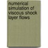 Numerical Simulation Of Viscous Shock Layer Flows