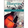 Teach Yourself Bluegrass Mandolin [with Audio Cd] door Andy Statman