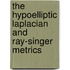 The Hypoelliptic Laplacian And Ray-Singer Metrics