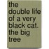 The double life of a very black cat. The big tree