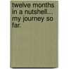 Twelve Months In A Nutshell... My Journey So Far. door Martin Stanton
