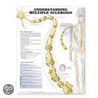 Understanding Multiple Sclerosis Anatomical Chart door Onbekend