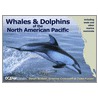 Whales And Dolphins Of The North American Pacific by Todd Pusser