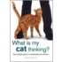 What Is My Cat Thinking? What Is My Cat Thinking?