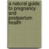 A Natural Guide To Pregnancy And Postpartum Health