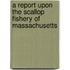 A Report Upon The Scallop Fishery Of Massachusetts