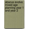 Abacus Evolve Mixed Age Planning Year 1 And Year 2 door Ruth Merttens