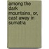 Among the Dark Mountains, Or, Cast Away in Sumatra