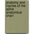 Anatomy And Injuries Of The Spine Anatomical Chart