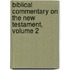 Biblical Commentary On The New Testament, Volume 2