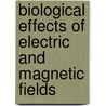 Biological Effects of Electric and Magnetic Fields door Sinerik Ayrapetyan