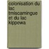 Colonisation Du Lac Tmiscamingue Et Du Lac Kippewa