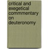 Critical and Exegetical Commmentary On Deuteronomy door Samuel Rolles Driver