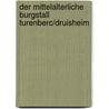Der mittelalterliche Burgstall Turenberc/Druisheim by Christian Later