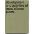 Development And Activities Of Roots Of Crop Plants